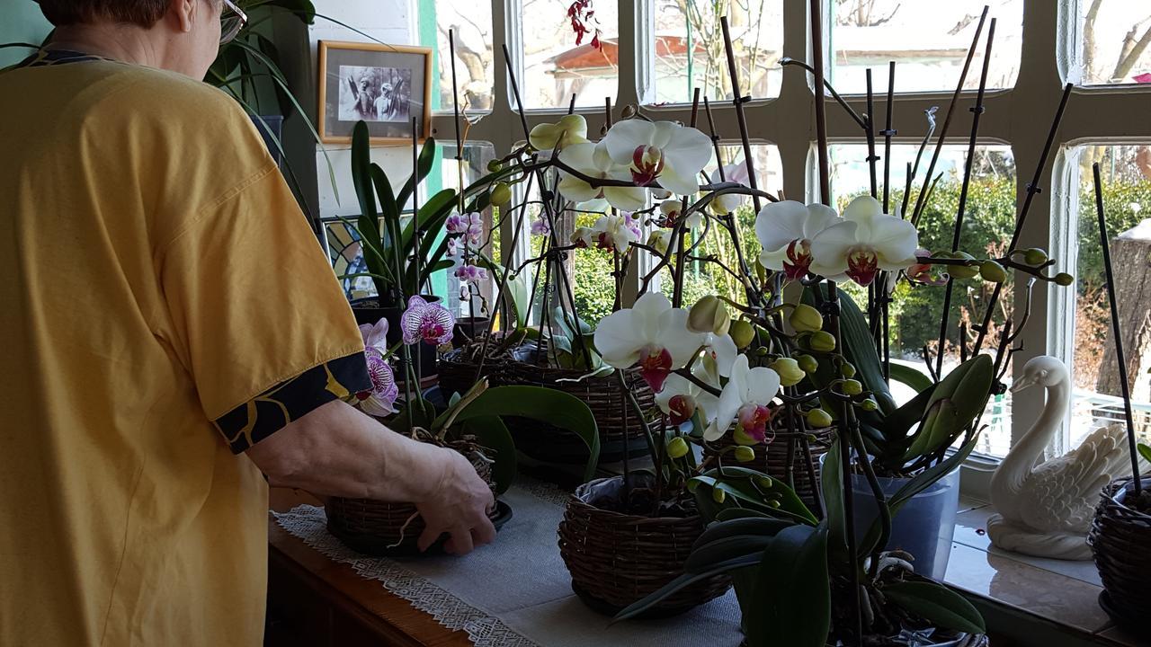Pensiunea Anda Tulcza Zewnętrze zdjęcie
